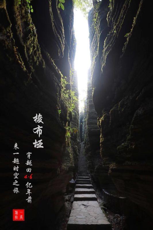 举报论文造假需要哪些证据游戏画面