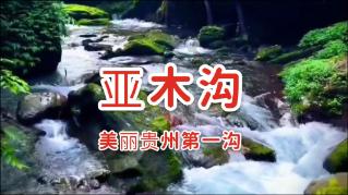 救援老画家