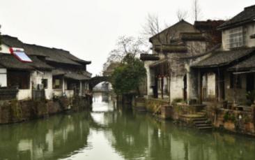 在马路上画块肉,会有人捡吗?